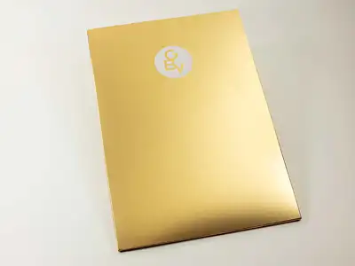  Document wing folder in gold